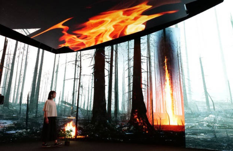 LED screen presents the landscape in North-west in Saudi Arabia to the conference in Paris